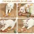 6 pièces souris peluche chat longue queue herbe chat instinct chasse