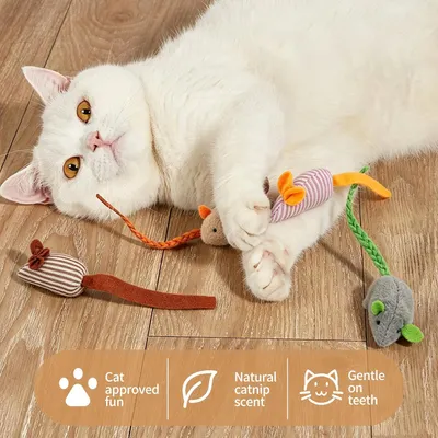 6 pièces souris peluche chat longue queue herbe chat instinct chasse