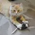 Souris mobile interactive chat couinement auto peluche mouvement