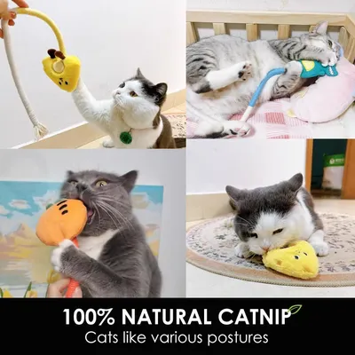 Lot 3 jouets à mâcher chat résistant morsure corde sisal 50 cm Lot 3 jouets à mâcher chat résistant morsure corde sisal 50 cm