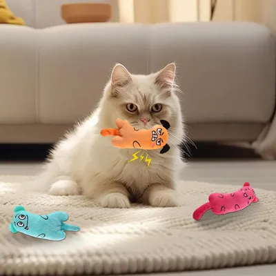 Lot 3 jouets herbe chat peluche douce nettoyage dents interactif