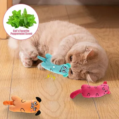 Lot 3 jouets herbe chat peluche douce nettoyage dents interactif