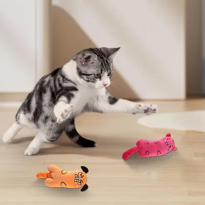 Lot 3 jouets herbe chat peluche douce nettoyage dents interactif