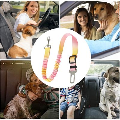 Ceinture sécurité chien harnais amovible pour voiture