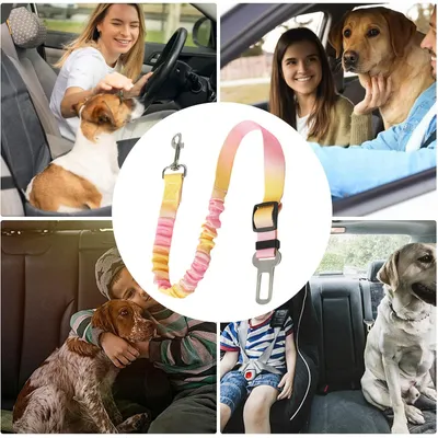 Hundesicherheitsgurt mit abnehmbarem Geschirr für das Auto Hundesicherheitsgurt mit abnehmbarem Geschirr für das Auto