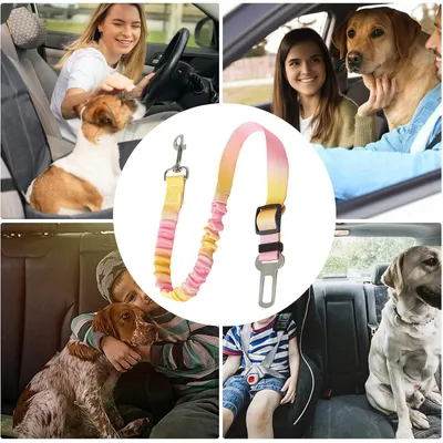 HausPets Cinturón de seguridad para perros, arnés de coche extraíble HausPets Cinturón de seguridad para perros, arnés de coche extraíble