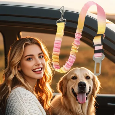 Hundesicherheitsgurt mit abnehmbarem Geschirr für das Auto Hundesicherheitsgurt mit abnehmbarem Geschirr für das Auto