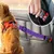 Sicherheitsgurt für Hunde im Auto, einfach zu bedienen Sicherheitsgurt für Hunde im Auto, einfach zu bedienen