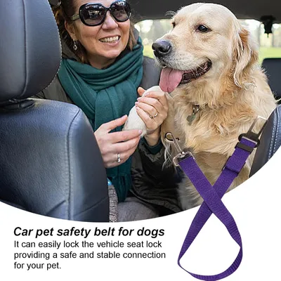 Sicherheitsgurt für Hunde im Auto, einfach zu bedienen Sicherheitsgurt für Hunde im Auto, einfach zu bedienen