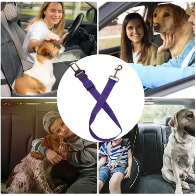 Sicherheitsgurt für Hunde im Auto, einfach zu bedienen Sicherheitsgurt für Hunde im Auto, einfach zu bedienen