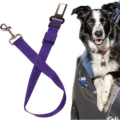 Sicherheitsgurt für Hunde im Auto, einfach zu bedienen