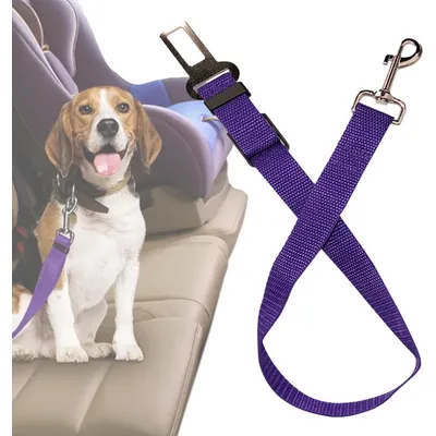 Sicherheitsgurt für Hunde im Auto, einfach zu bedienen Sicherheitsgurt für Hunde im Auto, einfach zu bedienen