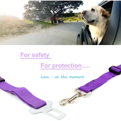 Leine, Sicherheitsgurt für Hunde und Katzen, Geschirr, Autositz, violett Leine, Sicherheitsgurt für Hunde und Katzen, Geschirr, Autositz, violett