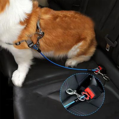 Lot 2 ceintures sécurité chien corde acier double clips loquet