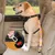 3er-Set strapazierfähige Nylon-Autoleinen für Hunde mit Sicherheitsgurt 3er-Set strapazierfähige Nylon-Autoleinen für Hunde mit Sicherheitsgurt