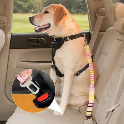 3er-Set strapazierfähige Nylon-Autoleinen für Hunde mit Sicherheitsgurt 3er-Set strapazierfähige Nylon-Autoleinen für Hunde mit Sicherheitsgurt
