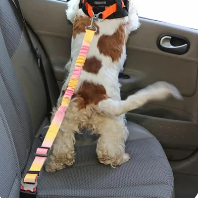 3er-Set strapazierfähige Nylon-Autoleinen für Hunde mit Sicherheitsgurt 3er-Set strapazierfähige Nylon-Autoleinen für Hunde mit Sicherheitsgurt