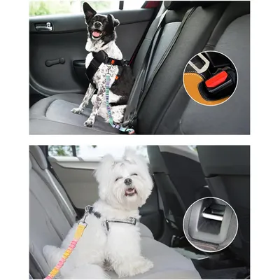 3er-Set strapazierfähige Nylon-Autoleinen für Hunde mit Sicherheitsgurt 3er-Set strapazierfähige Nylon-Autoleinen für Hunde mit Sicherheitsgurt