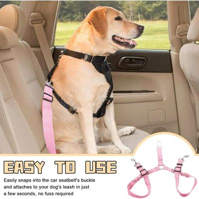 Ceintures sécurité chien double réglable 360° sans enchevêtrement 2 chiens