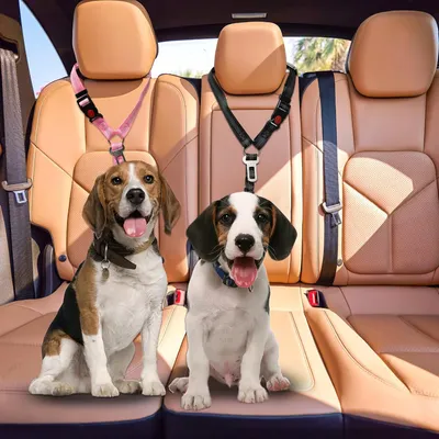 2-teiliger verstellbarer Autosicherheitsgurt für Hunde, schwarz-rosa 2-teiliger verstellbarer Autosicherheitsgurt für Hunde, schwarz-rosa