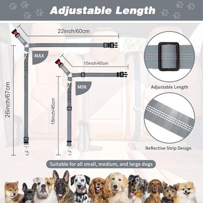 Ceinture sécurité chien 3 en 1 nylon haute densité anti morsure
