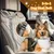 3-in-1-Sicherheitsgurt für Hunde aus hochdichtem, bissfestem Nylon 3-in-1-Sicherheitsgurt für Hunde aus hochdichtem, bissfestem Nylon