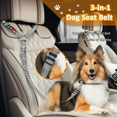 3-in-1-Sicherheitsgurt für Hunde aus hochdichtem, bissfestem Nylon 3-in-1-Sicherheitsgurt für Hunde aus hochdichtem, bissfestem Nylon