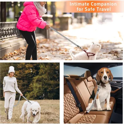 3-in-1-Sicherheitsgurt für Hunde aus hochdichtem, bissfestem Nylon 3-in-1-Sicherheitsgurt für Hunde aus hochdichtem, bissfestem Nylon