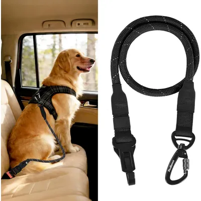 Hundesicherheitsgurt für das Auto aus strapazierfähigem Nylon,schwarz Hundesicherheitsgurt für das Auto aus strapazierfähigem Nylon,schwarz