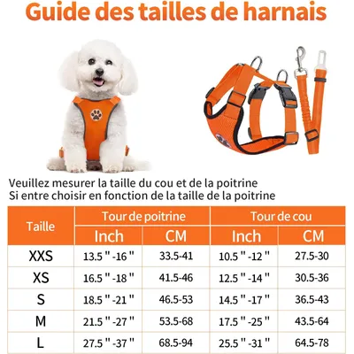 XXS-Autogeschirr für Hunde in Orange mit verstellbarem elastischem Gurt XXS-Autogeschirr für Hunde in Orange mit verstellbarem elastischem Gurt