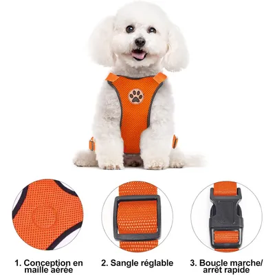 XXS-Autogeschirr für Hunde in Orange mit verstellbarem elastischem Gurt XXS-Autogeschirr für Hunde in Orange mit verstellbarem elastischem Gurt