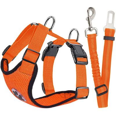 XXS-Autogeschirr für Hunde in Orange mit verstellbarem elastischem Gurt