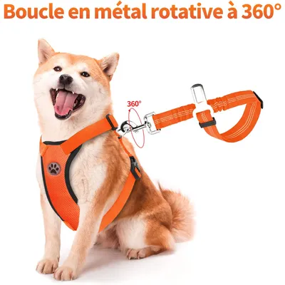 XXS-Autogeschirr für Hunde in Orange mit verstellbarem elastischem Gurt XXS-Autogeschirr für Hunde in Orange mit verstellbarem elastischem Gurt