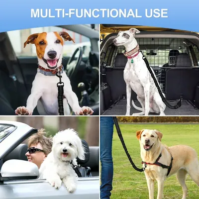 Verstellbarer, elastischer Nylon-Sicherheitsgurt für Hunde mit doppelter Verstellbarer, elastischer Nylon-Sicherheitsgurt für Hunde mit doppelter