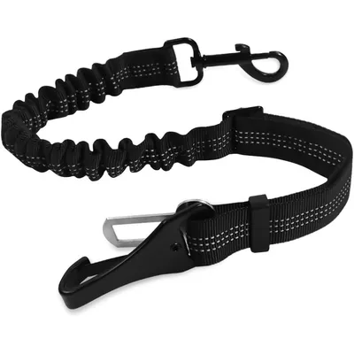 Verstellbarer, elastischer Nylon-Sicherheitsgurt für Hunde mit doppelter Verstellbarer, elastischer Nylon-Sicherheitsgurt für Hunde mit doppelter