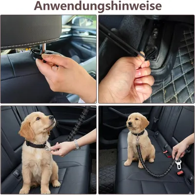 2er-Set Autogurte für Hunde + verstellbares Tierschutznetz, 50–85 cm 2er-Set Autogurte für Hunde + verstellbares Tierschutznetz, 50–85 cm