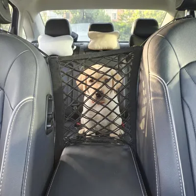 2er-Set Autogurte für Hunde + verstellbares Tierschutznetz, 50–85 cm 2er-Set Autogurte für Hunde + verstellbares Tierschutznetz, 50–85 cm