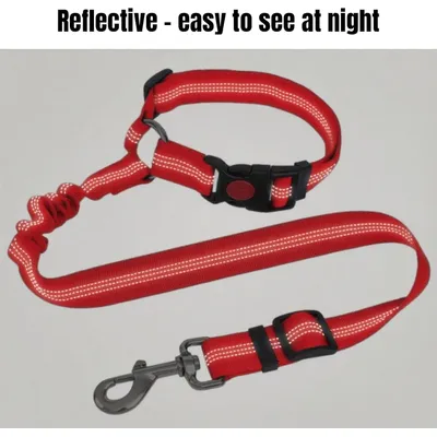 Verstellbarer Sicherheitsgurt für Hunde (50–65 cm) mit Nachtreflektoren Verstellbarer Sicherheitsgurt für Hunde (50–65 cm) mit Nachtreflektoren