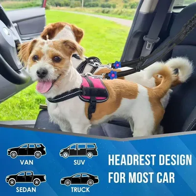 Einziehbare reflektierende Hundegurte, 1–2 Abschnitte, elastische Schnalle Einziehbare reflektierende Hundegurte, 1–2 Abschnitte, elastische Schnalle