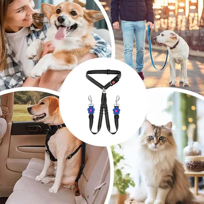Einziehbare reflektierende Hundegurte, 1–2 Abschnitte, elastische Schnalle Einziehbare reflektierende Hundegurte, 1–2 Abschnitte, elastische Schnalle