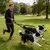 Einziehbare reflektierende Hundegurte, 1–2 Abschnitte, elastische Schnalle Einziehbare reflektierende Hundegurte, 1–2 Abschnitte, elastische Schnalle