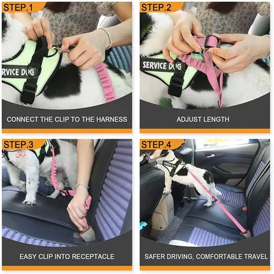 Verstellbare elastische Leine, Sicherheitsgurt für Hunde, hochfestes Nylon Verstellbare elastische Leine, Sicherheitsgurt für Hunde, hochfestes Nylon