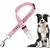 Verstellbare elastische Leine, Sicherheitsgurt für Hunde, hochfestes Nylon Verstellbare elastische Leine, Sicherheitsgurt für Hunde, hochfestes Nylon