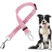 Verstellbare elastische Leine, Sicherheitsgurt für Hunde, hochfestes Nylon