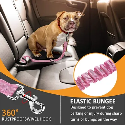 Verstellbare elastische Leine, Sicherheitsgurt für Hunde, hochfestes Nylon Verstellbare elastische Leine, Sicherheitsgurt für Hunde, hochfestes Nylon