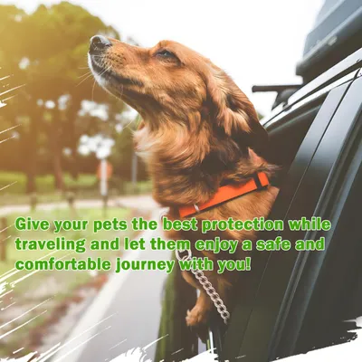 3-in-1-Sicherheitsgurtbefestigung für Hunde im Auto aus Edelstahlkette 3-in-1-Sicherheitsgurtbefestigung für Hunde im Auto aus Edelstahlkette