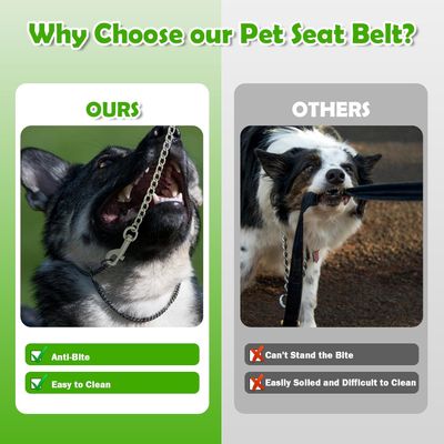 Attache ceinture sécurité chien voiture chaîne acier inox 3 en 1