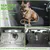 3-in-1-Sicherheitsgurtbefestigung für Hunde im Auto aus Edelstahlkette 3-in-1-Sicherheitsgurtbefestigung für Hunde im Auto aus Edelstahlkette
