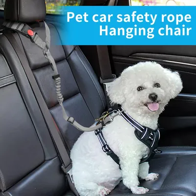 Verstellbarer, elastischer 2-in-1-Autogurt für Hunde, stoßdämpfend Verstellbarer, elastischer 2-in-1-Autogurt für Hunde, stoßdämpfend
