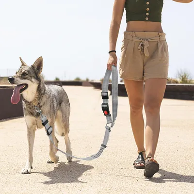 Verstellbarer, elastischer 2-in-1-Autogurt für Hunde, stoßdämpfend Verstellbarer, elastischer 2-in-1-Autogurt für Hunde, stoßdämpfend